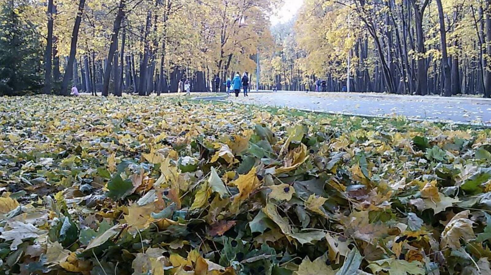 ИА «Башинформ»