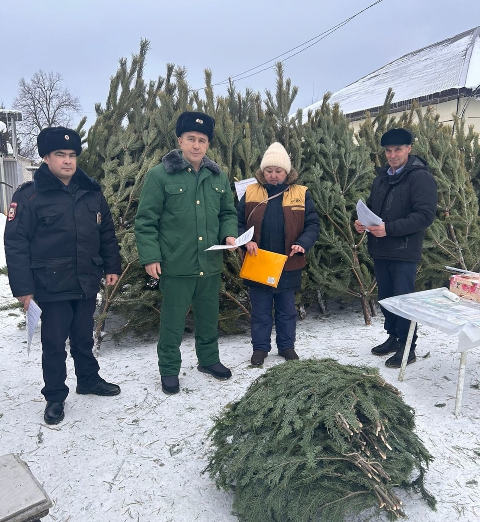 Минлесхоз РБ