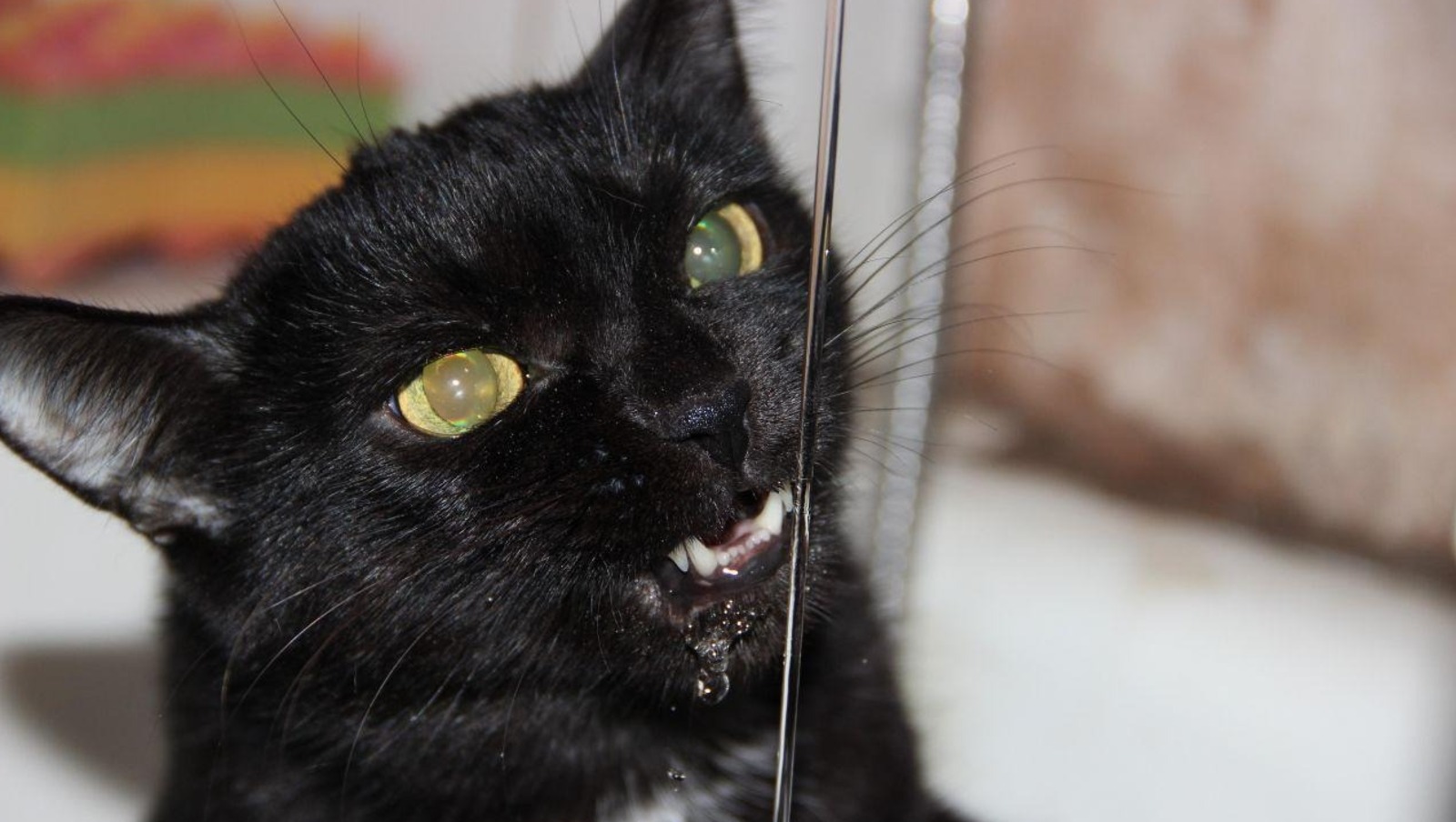 «Башинформ»  архив