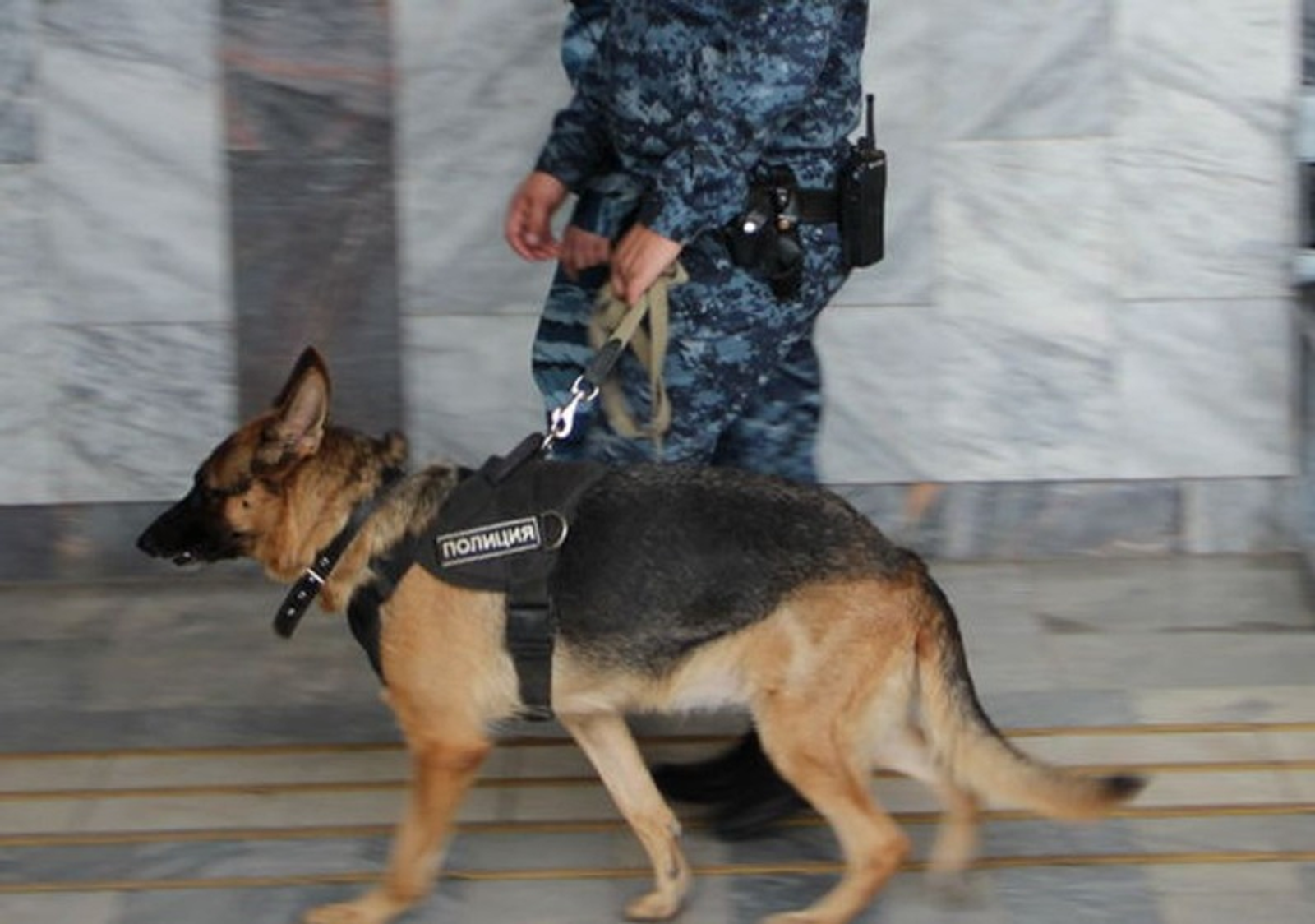 Ксения Калинина