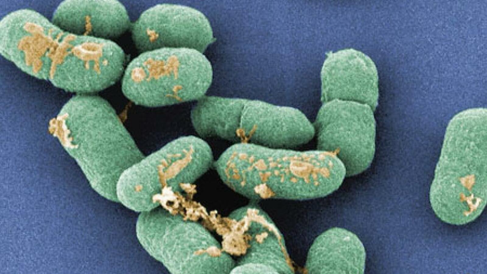 Из открытых источников