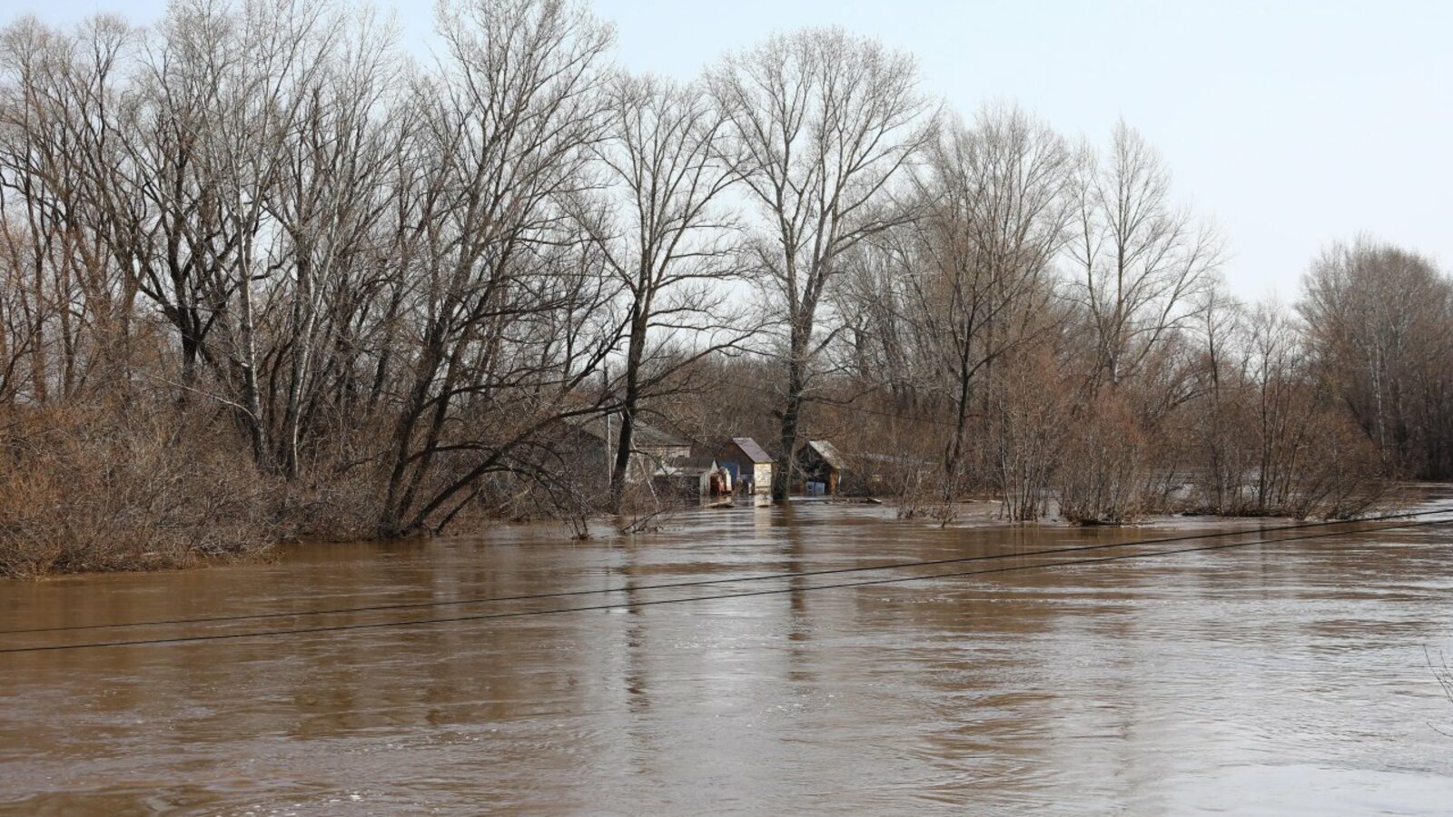 Валерий Шахов