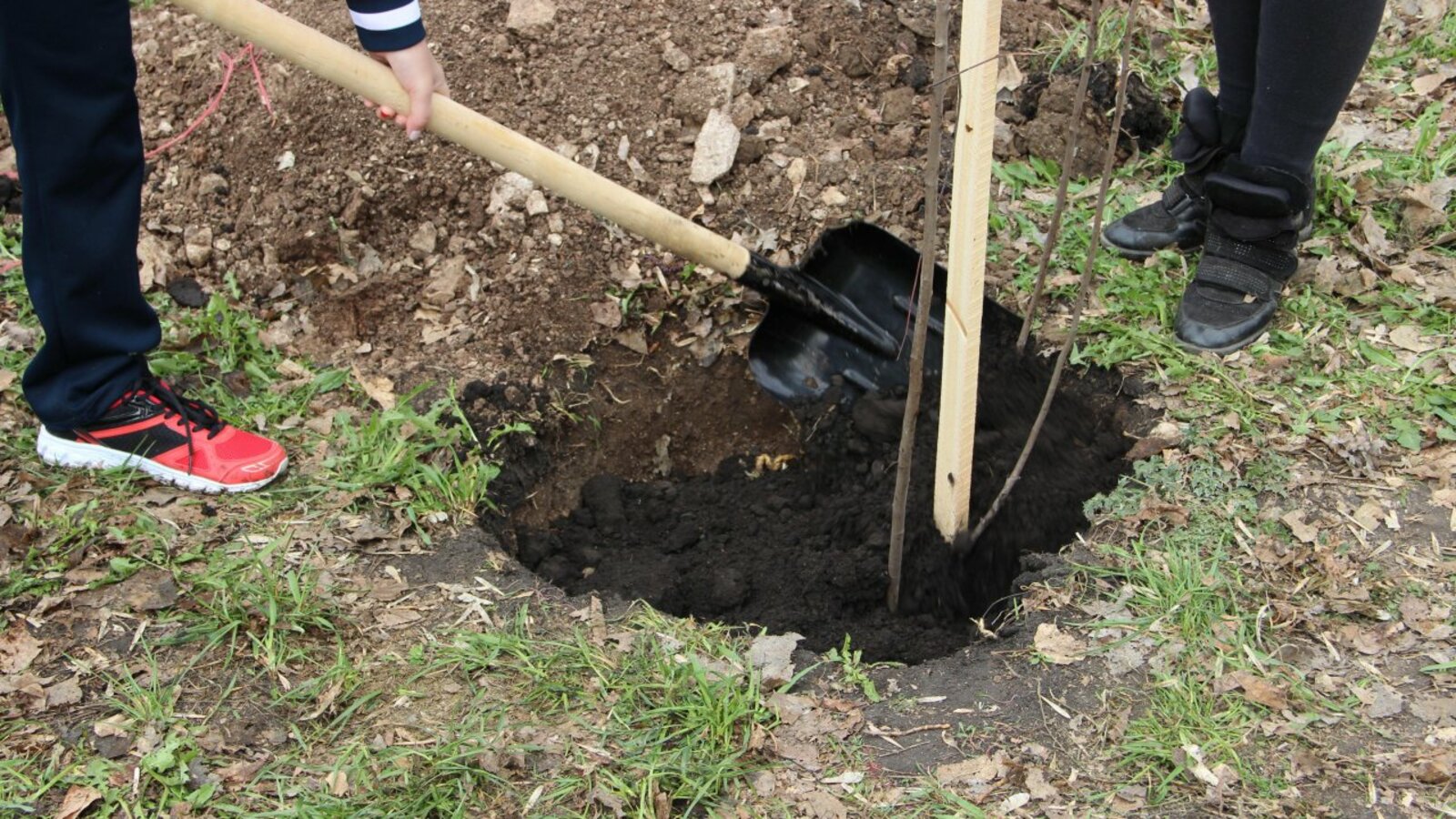 ИА «Башинформ»