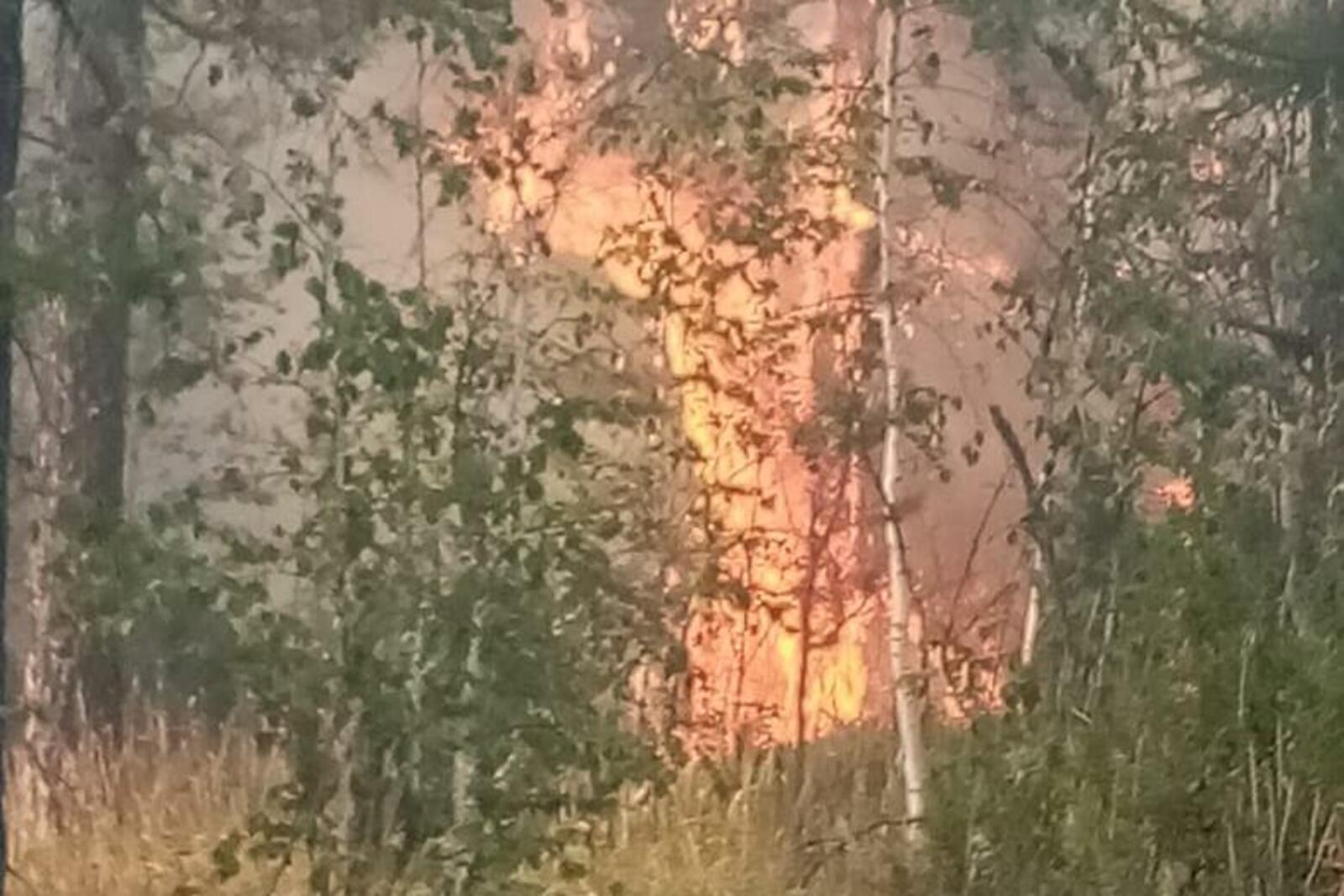 Госкомитет РБ по ЧС