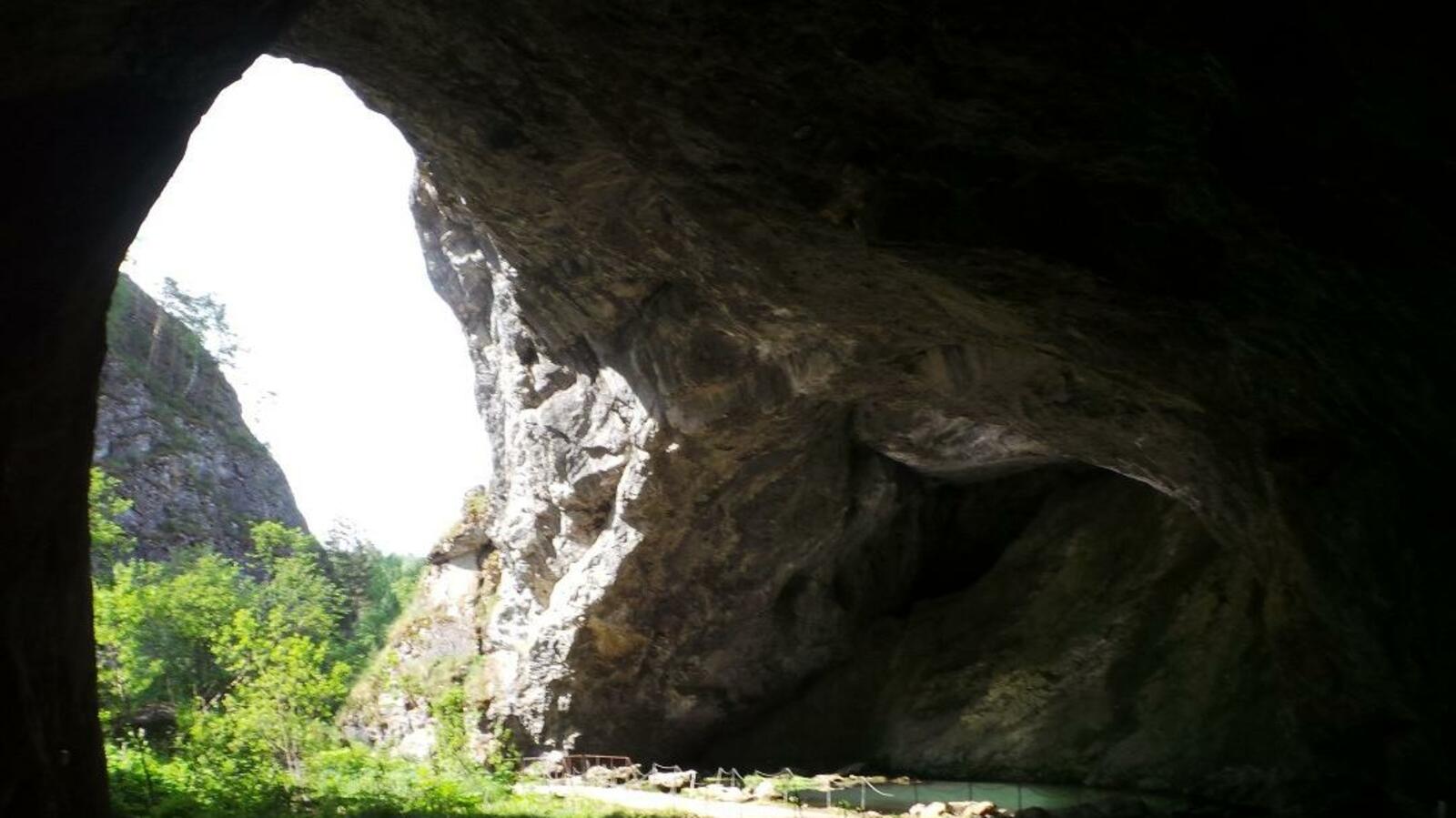 Лейла Аралбаева