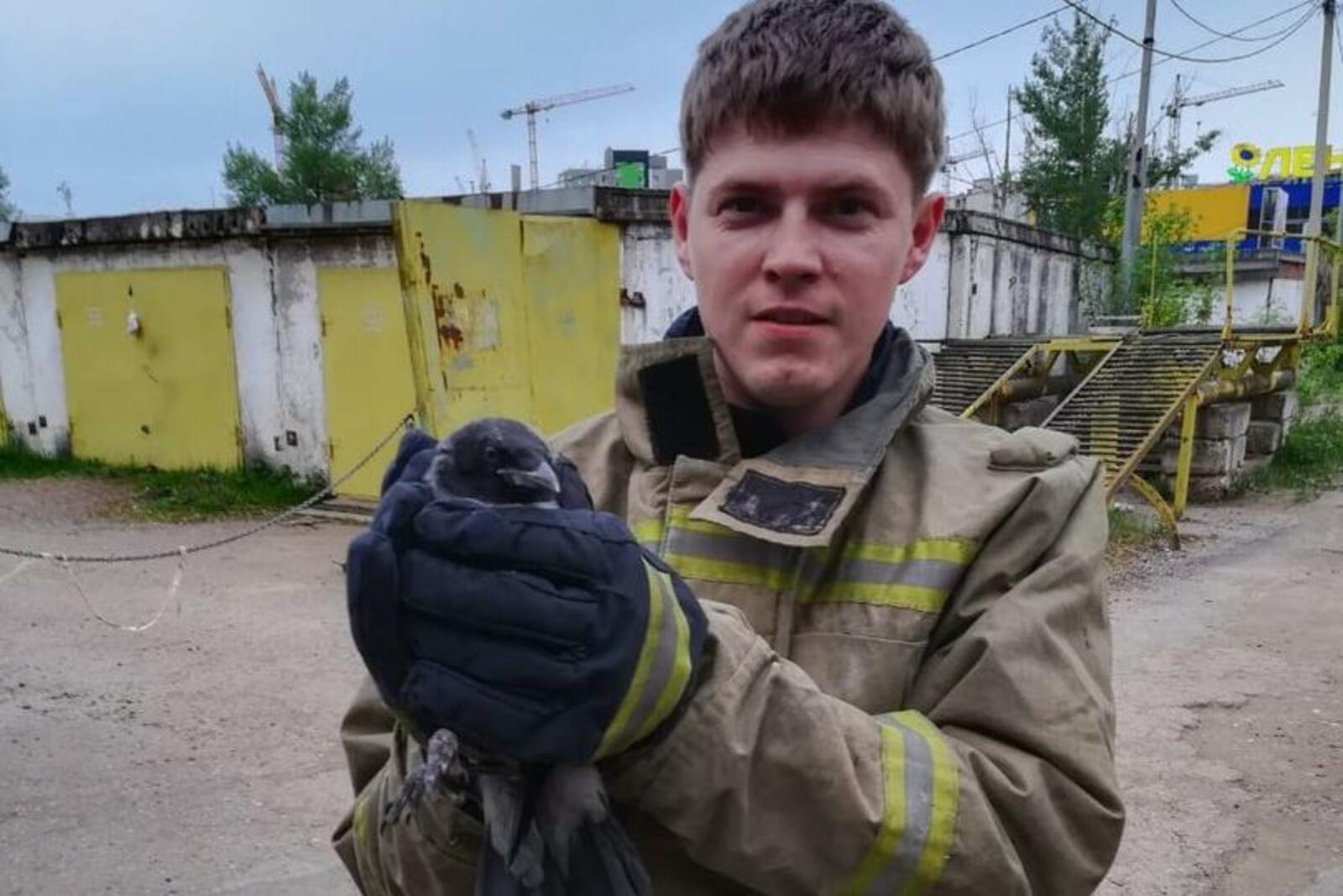 пресс-служба Управления гражданской защиты Уфы