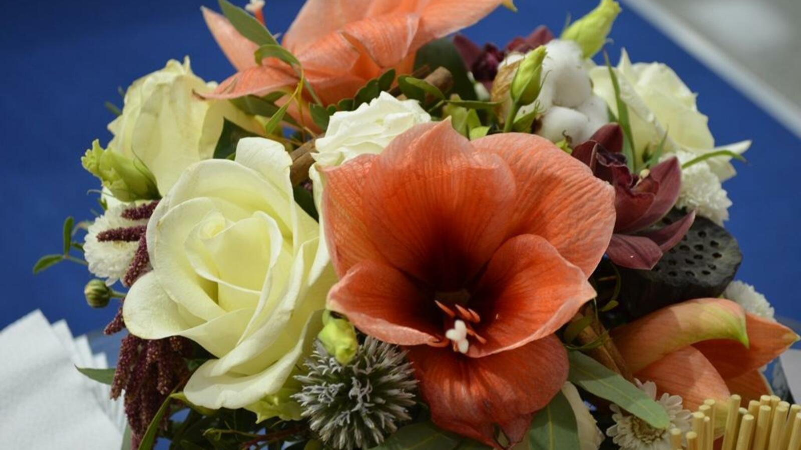 Ксения Калинина