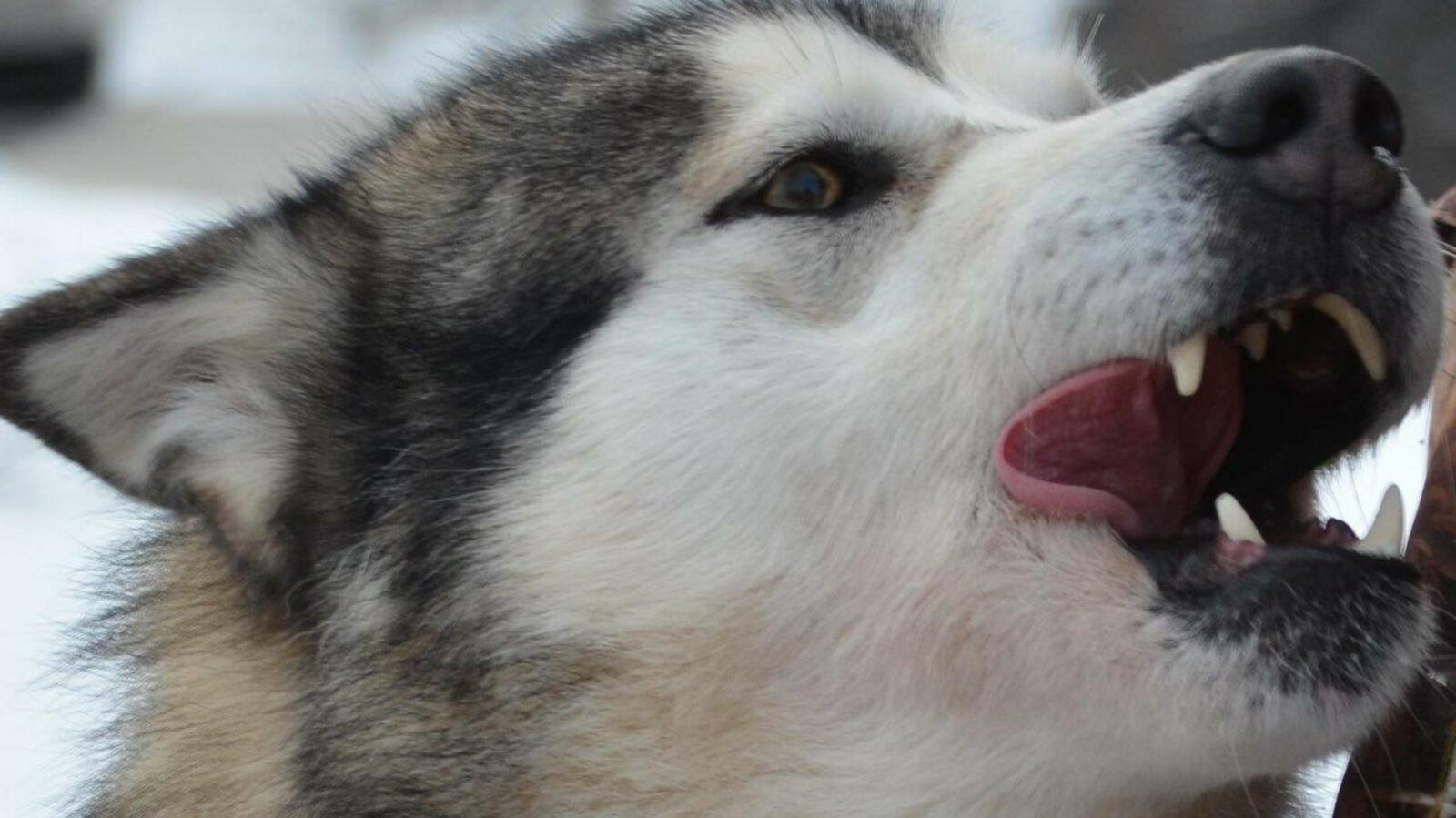 Ксения Калинина