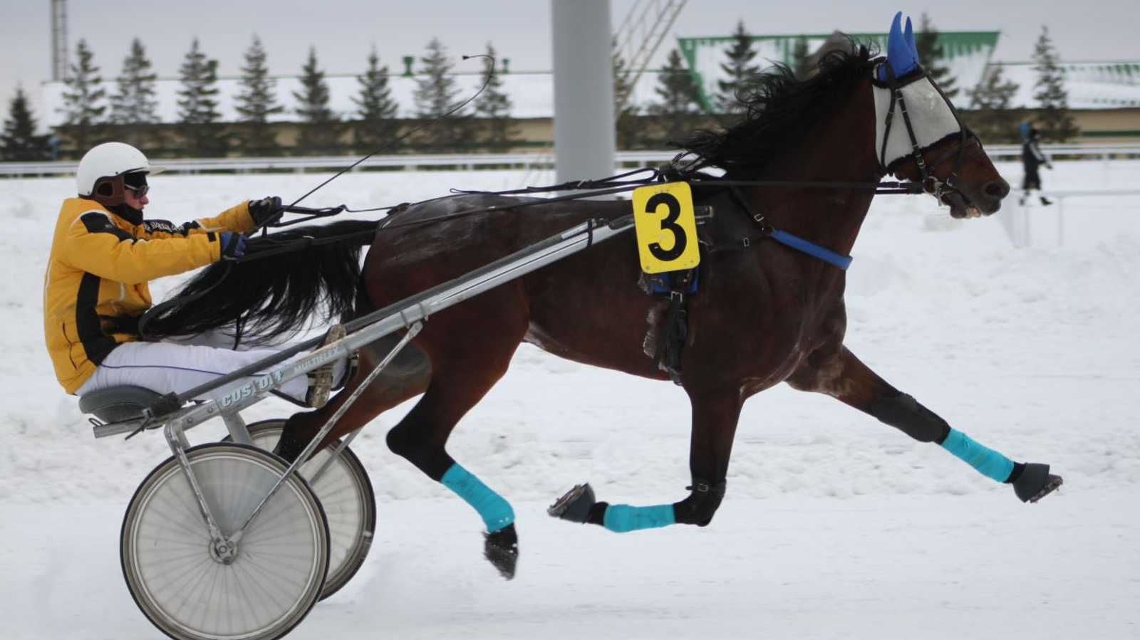 ипподром «Акбузат»