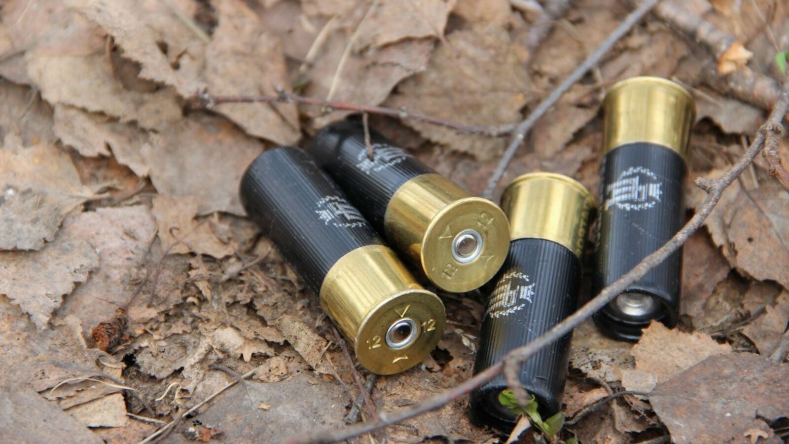 Гульфия Акулова