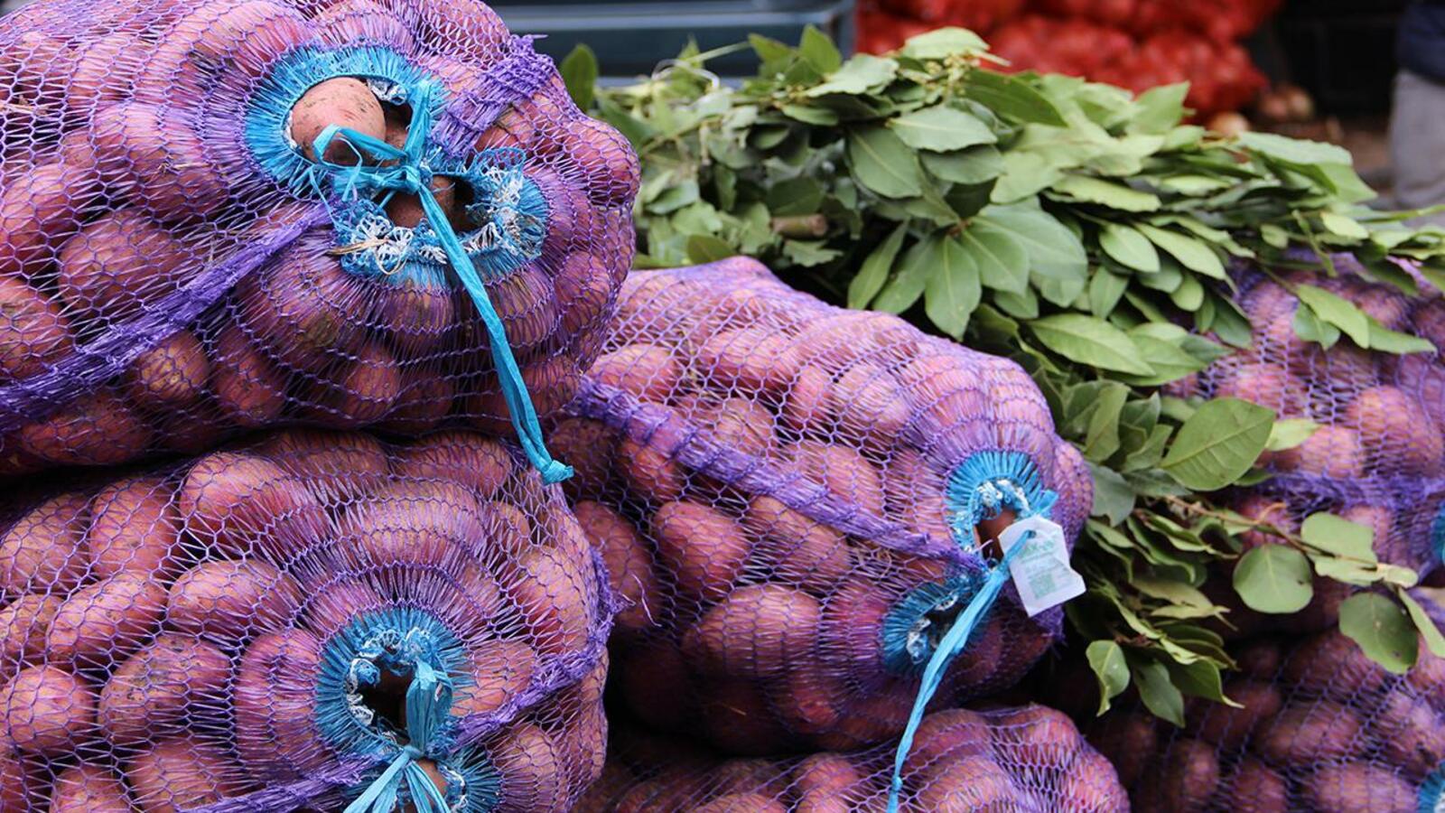 ИА «Башинформ»