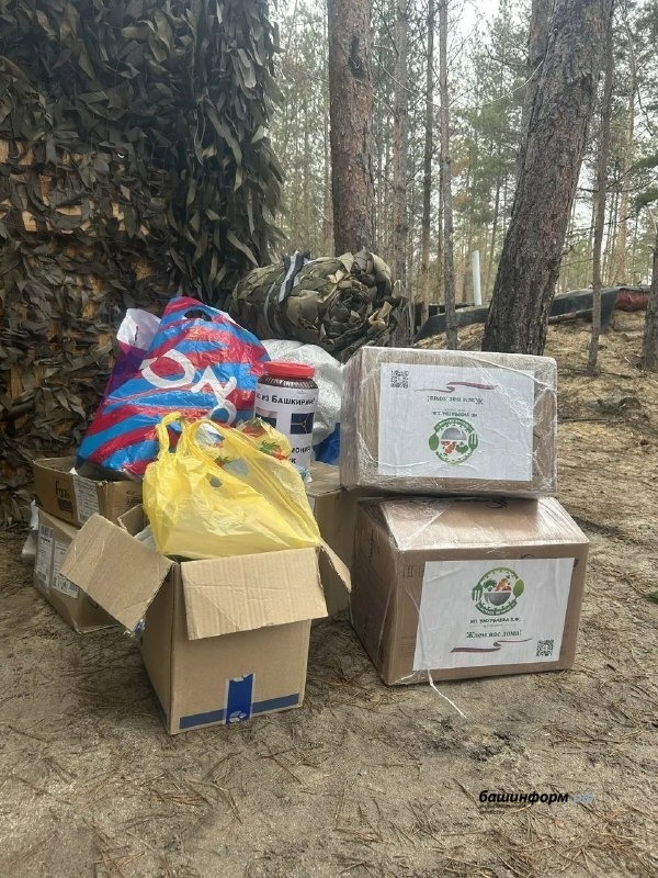 Нефтекамская госфилармония телеграм-канал Амины Шафиковой