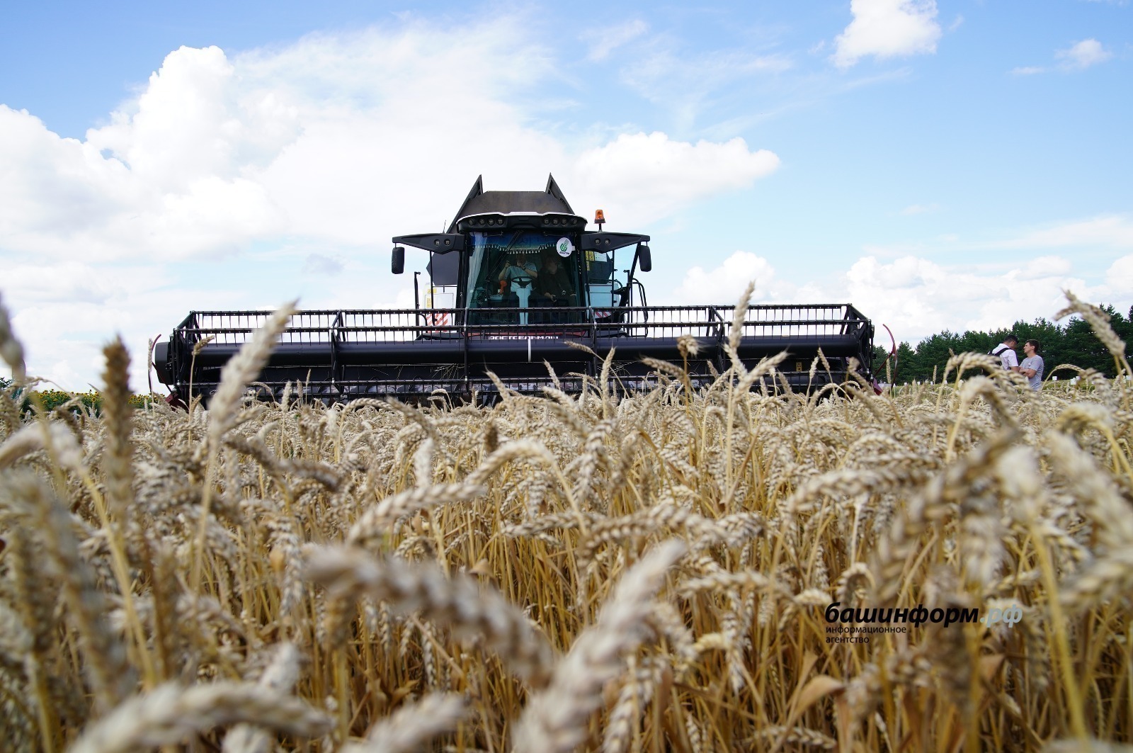 Bashkortostan sold 44 thousand tons of grain and cereals on domestic Russian market.