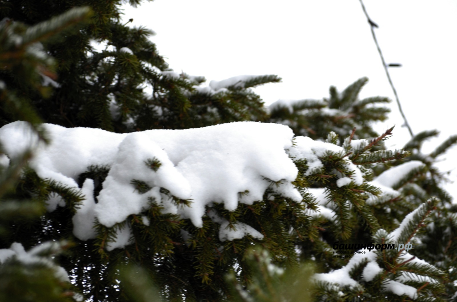 Ксения Калинина  ИА «Башинформ»