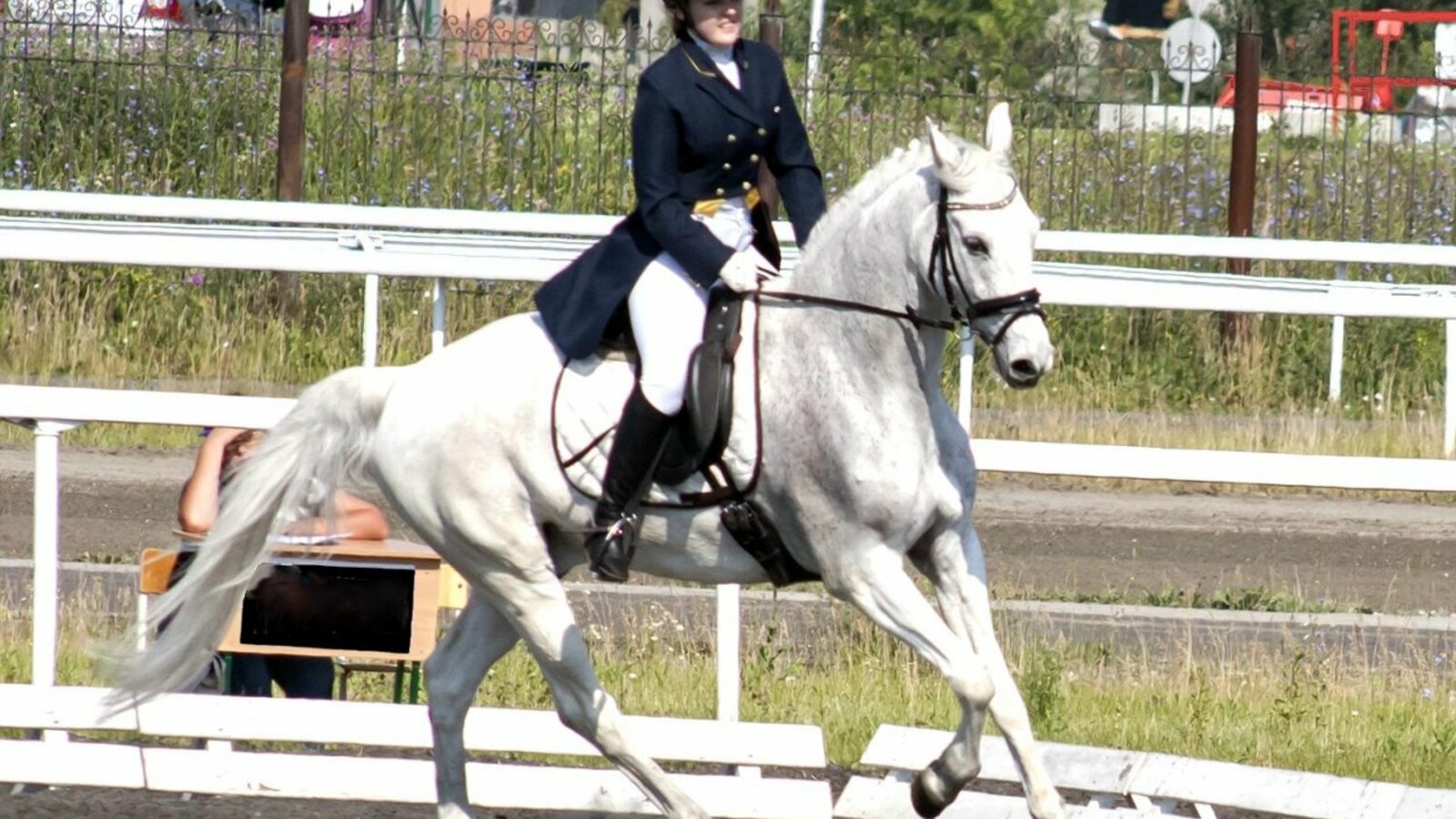 Федерация конного спорта РБ