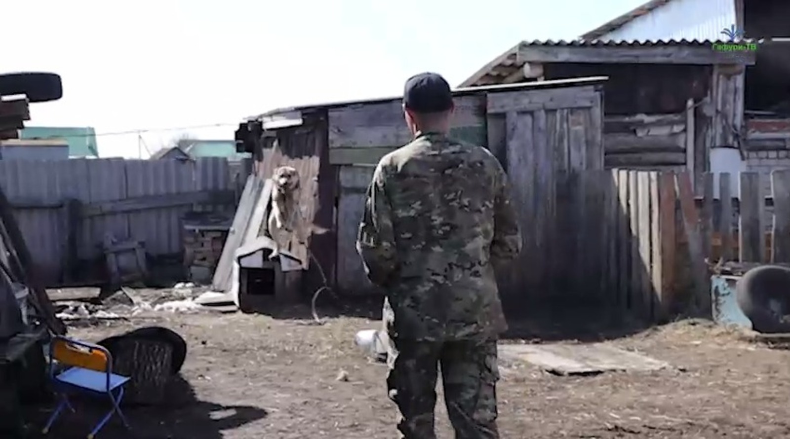 скриншот видео