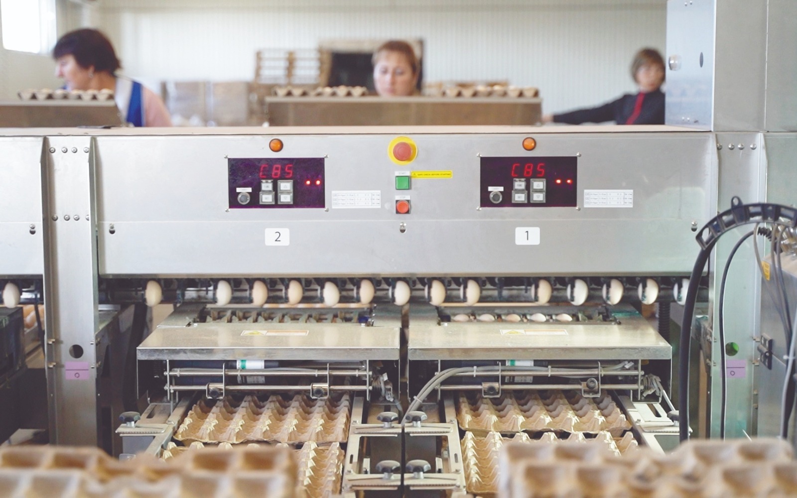 пресс-служба  минсельхоз Башкирии