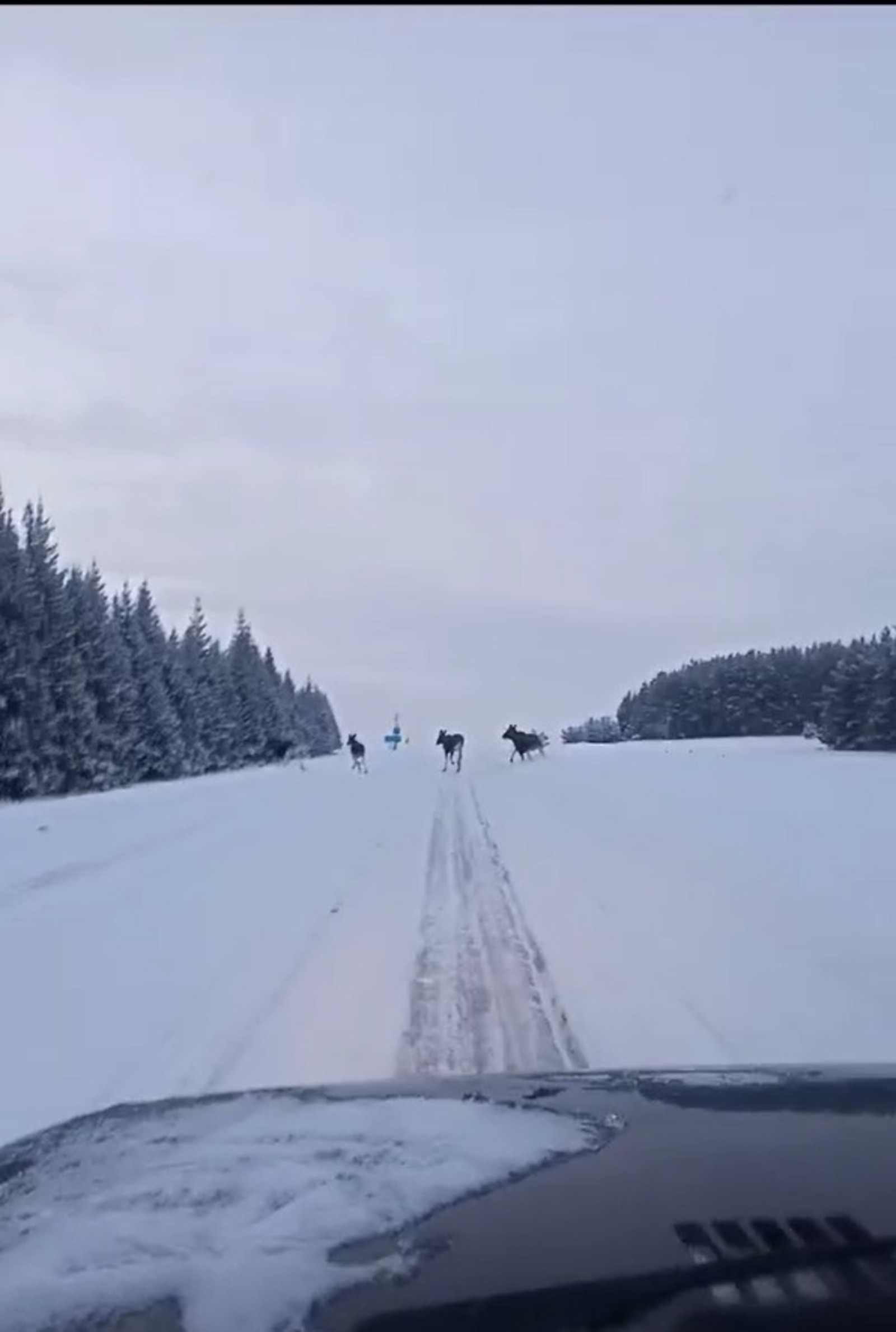 скриншот видео