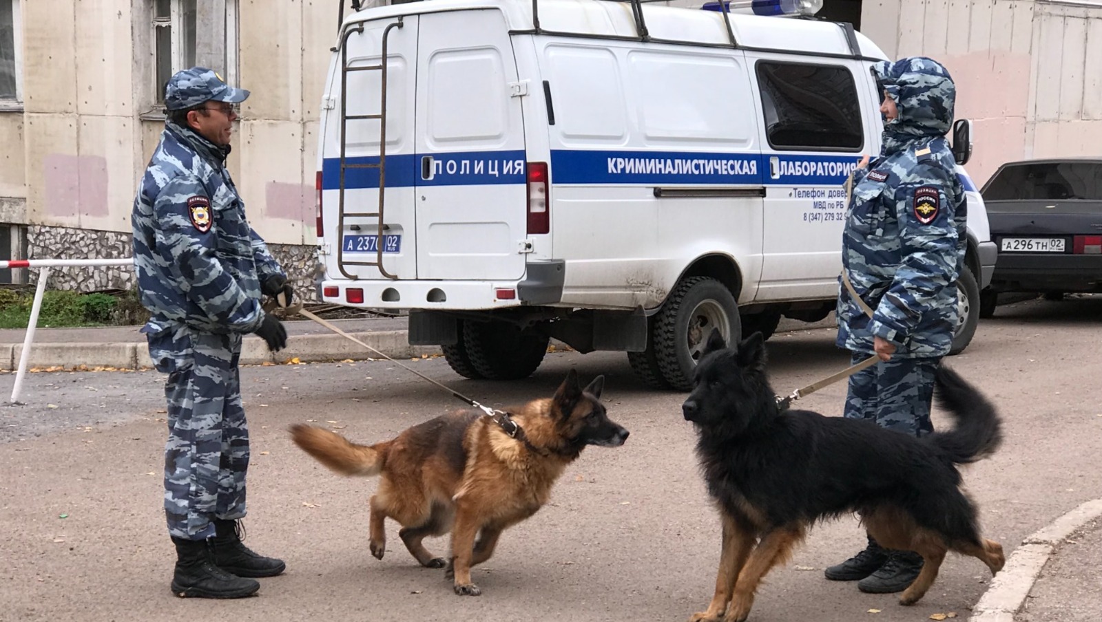 Ксения Калинина