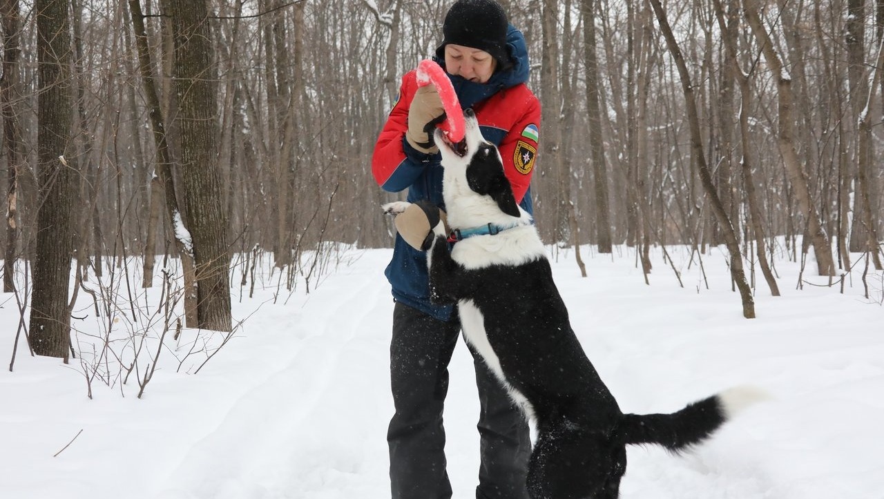 Валерий Шахов
