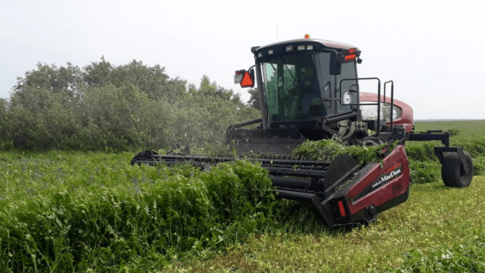 пресс-служба Минсельхоза Башкирии