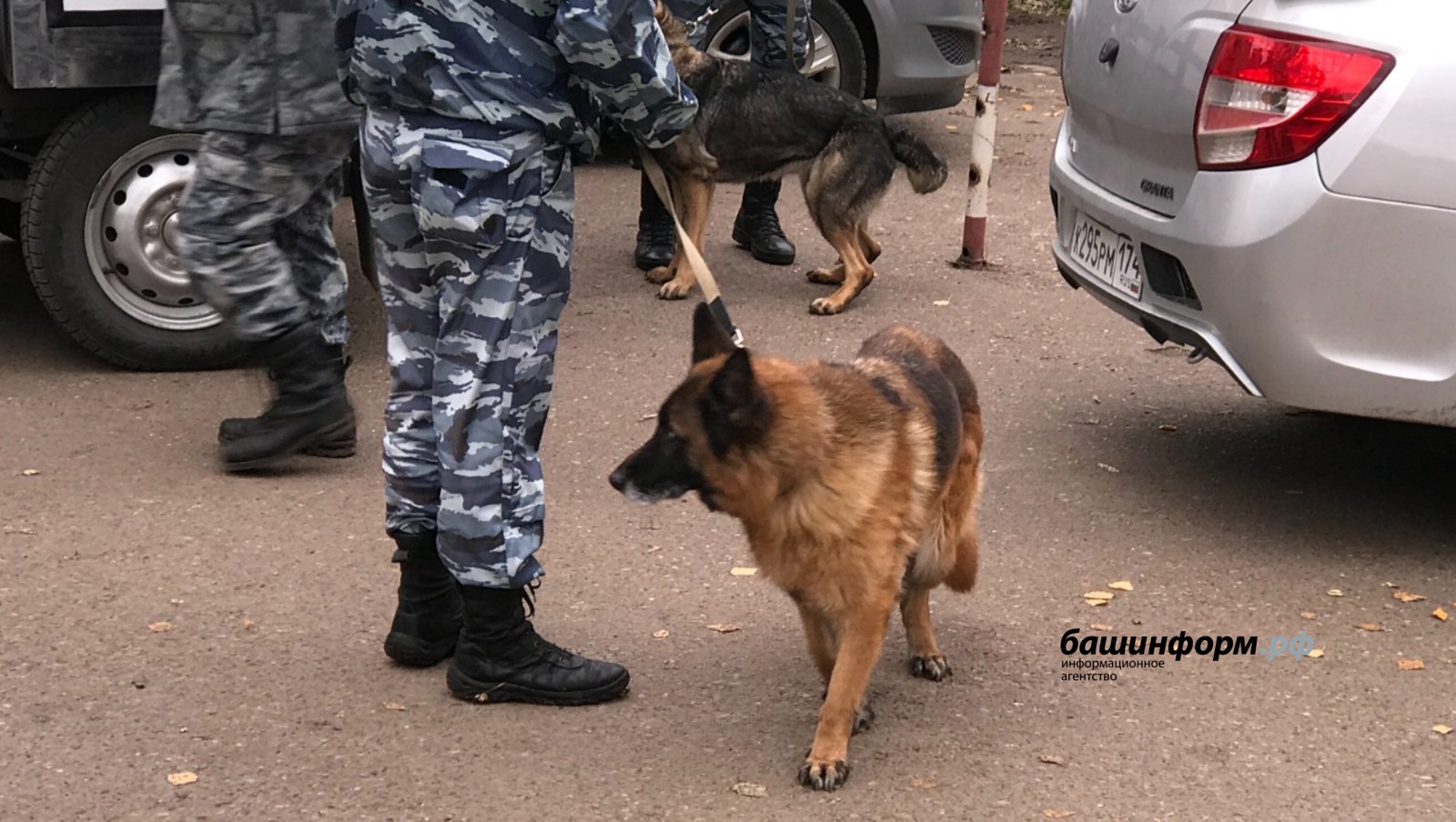 Ксения Калинина