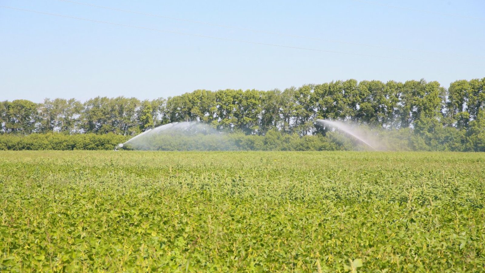 пресс-служба Главы Башкортостана