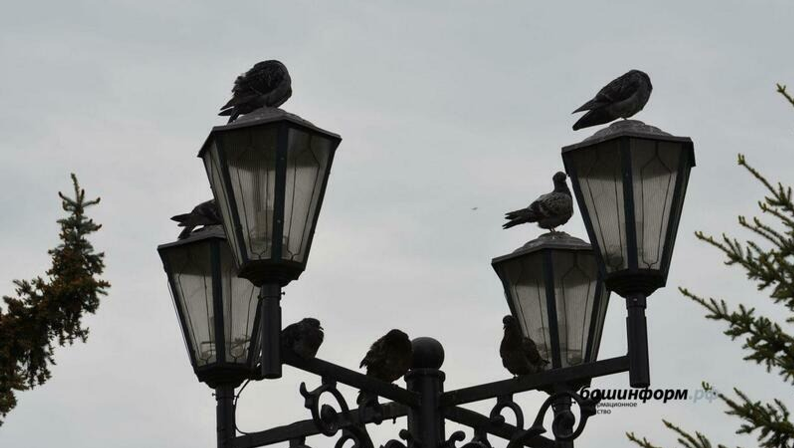 ИА "Башинформ"