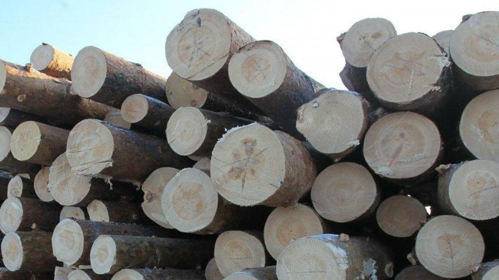 ИА «Башинформ»