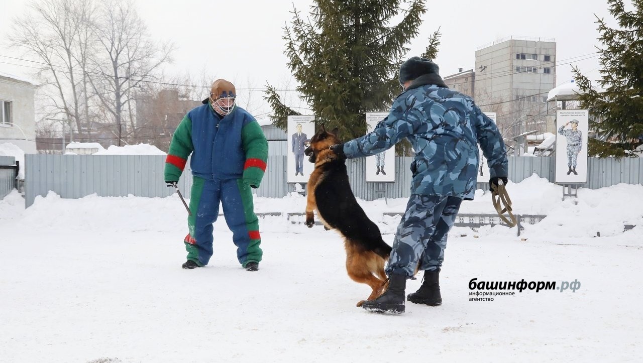 Валерий Шахов