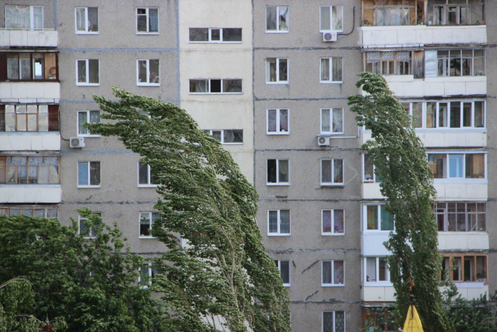 Ксения Калинина
