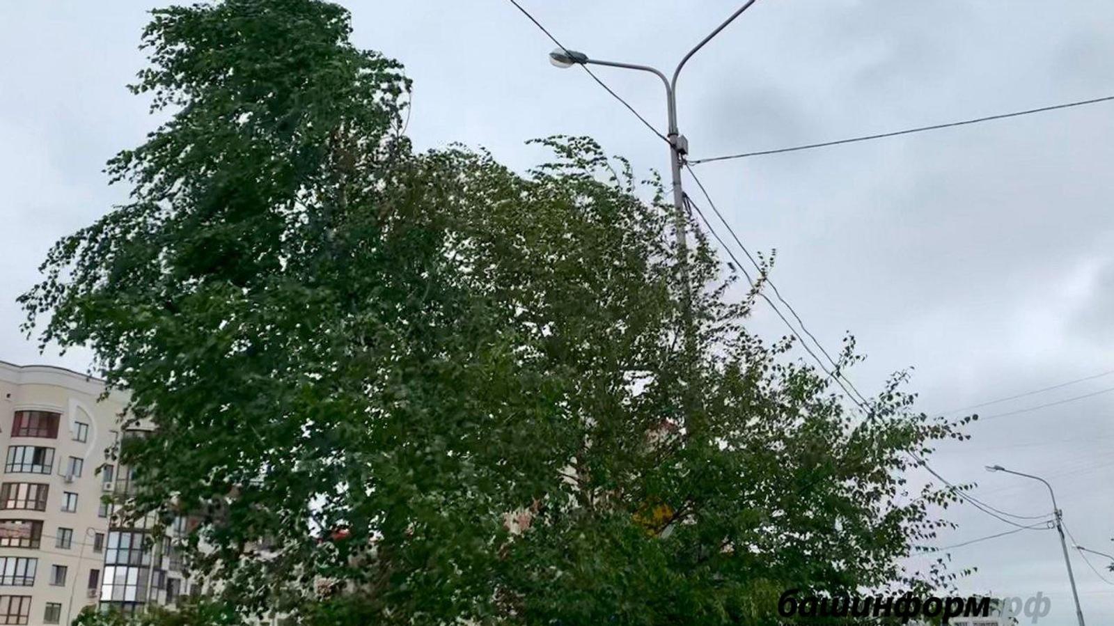 ИА «Башинформ»