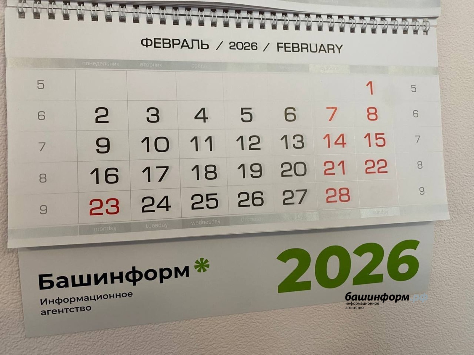 Ләйсән Закирова / «Башинформ» мәғлүмәт агентлығы