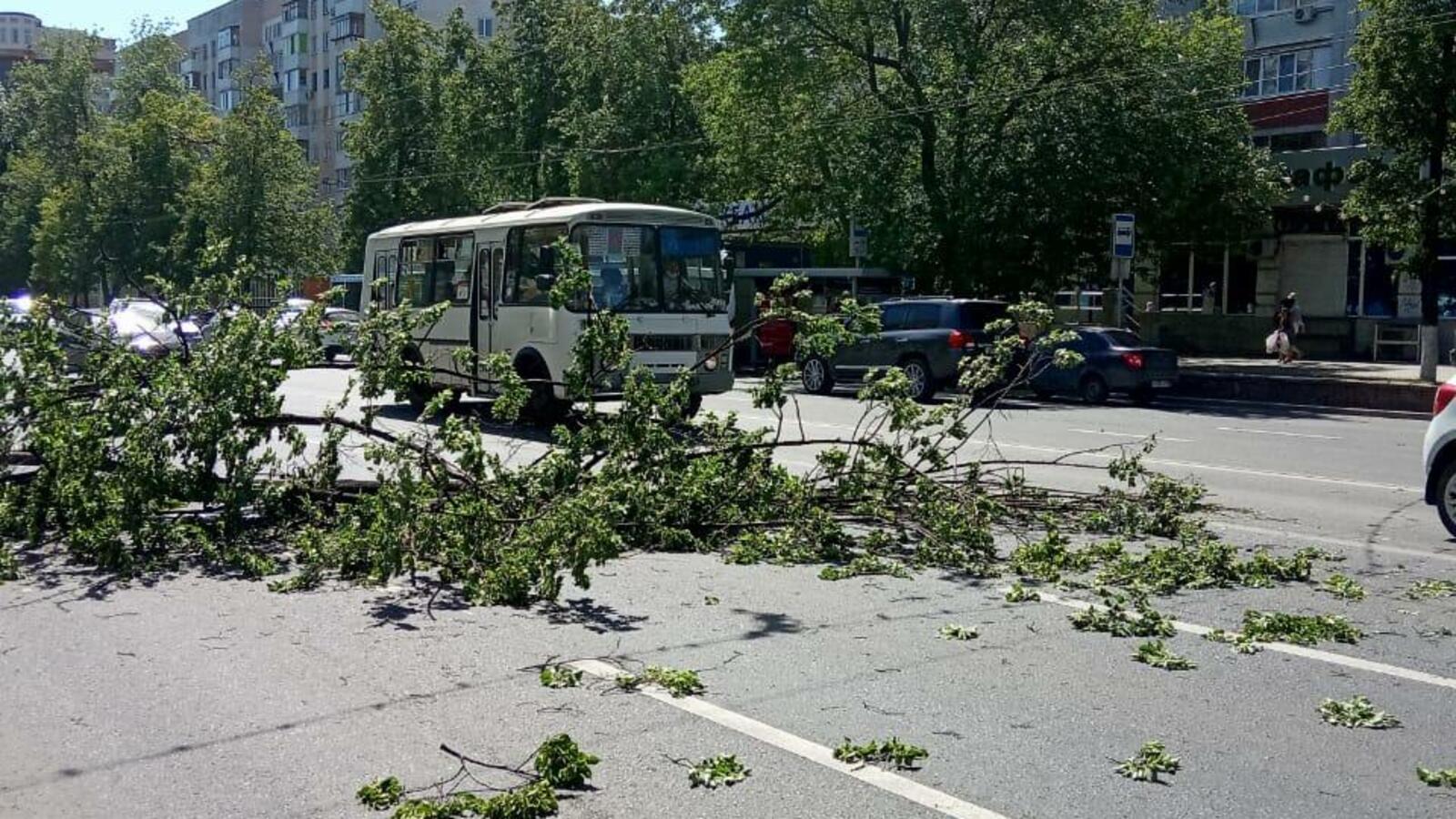 Валерий Шахов