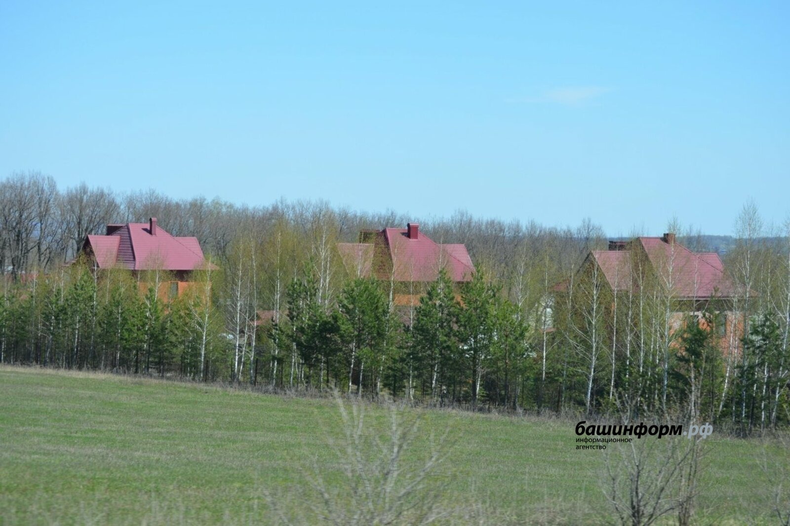 Ксения Калинина архив «Башинформа»