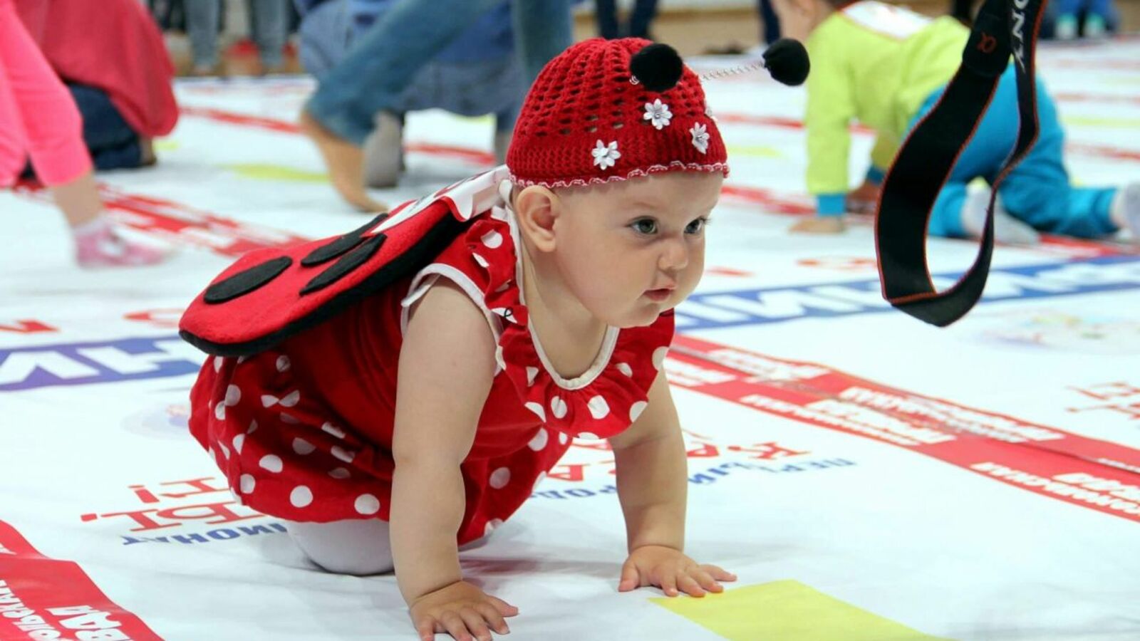 Тимур Шарипкулов