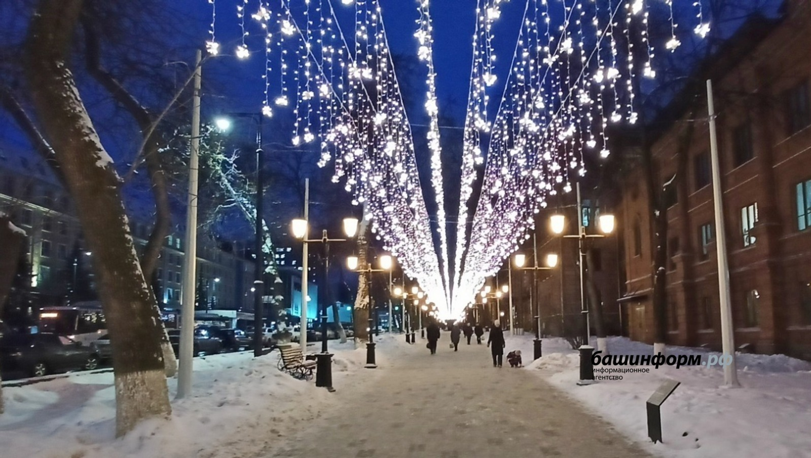 Валерий Шахов