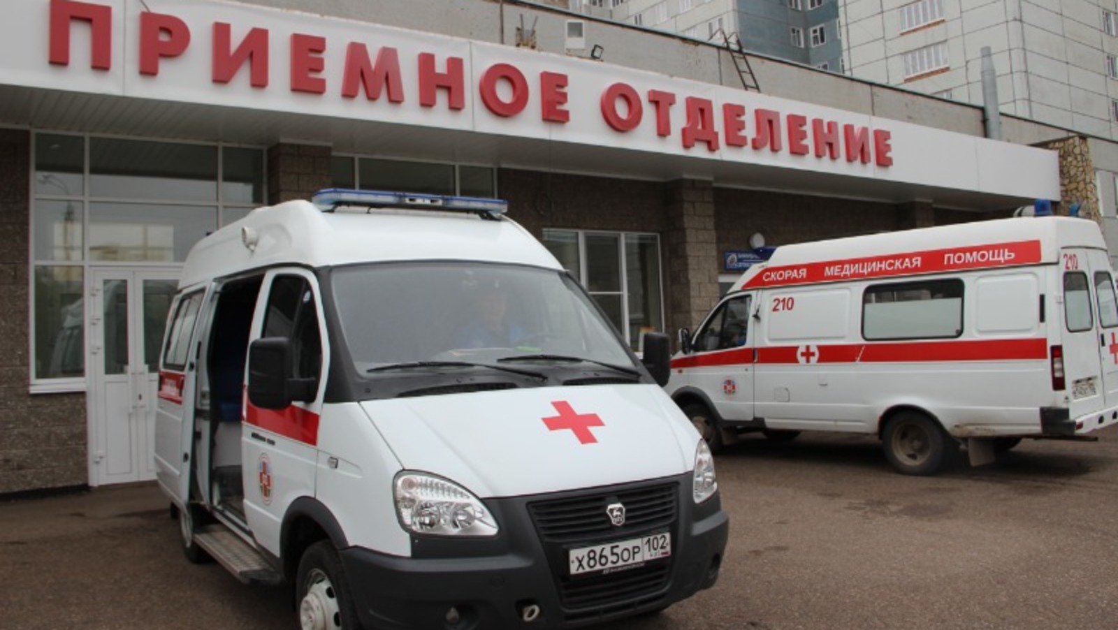 Ксения Калинина