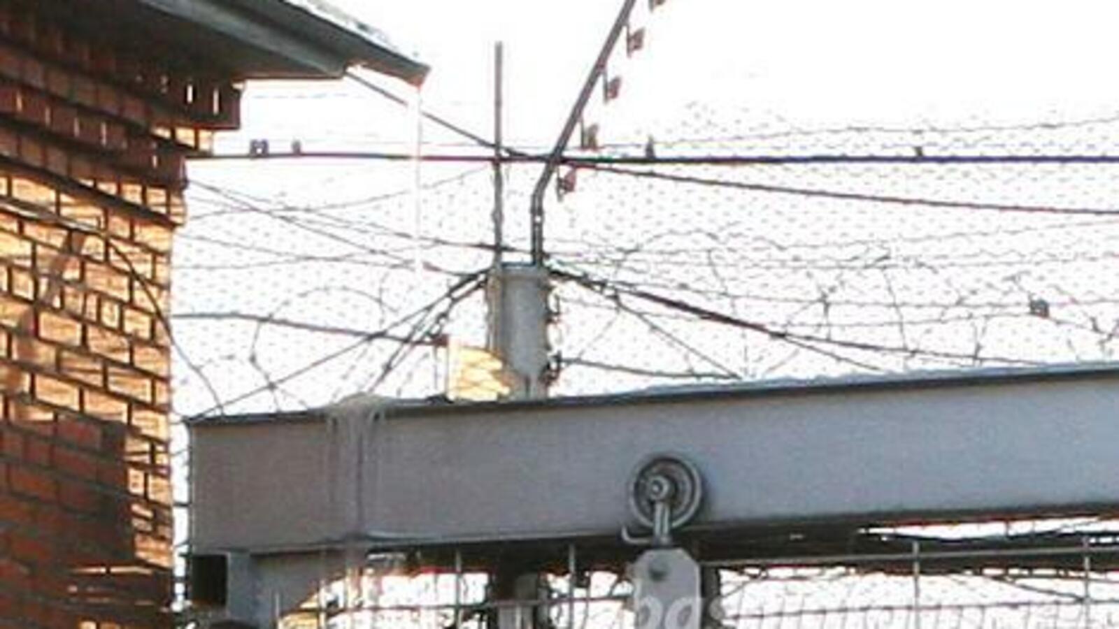 Андрей Старостин