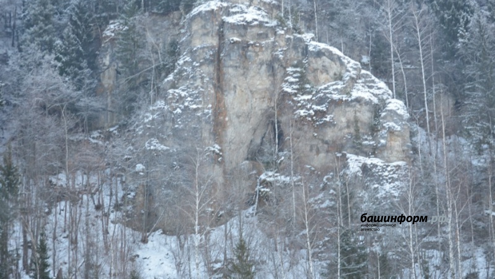 Ксения Калинина