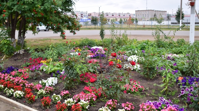 «Сад» азербайджанца в башкирском Янауле