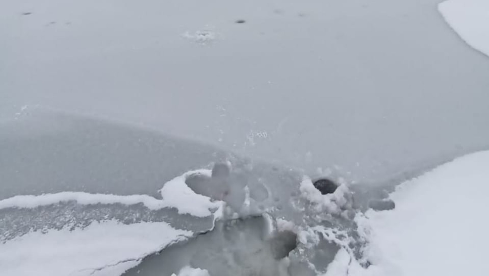 ГУ МЧС по РБ