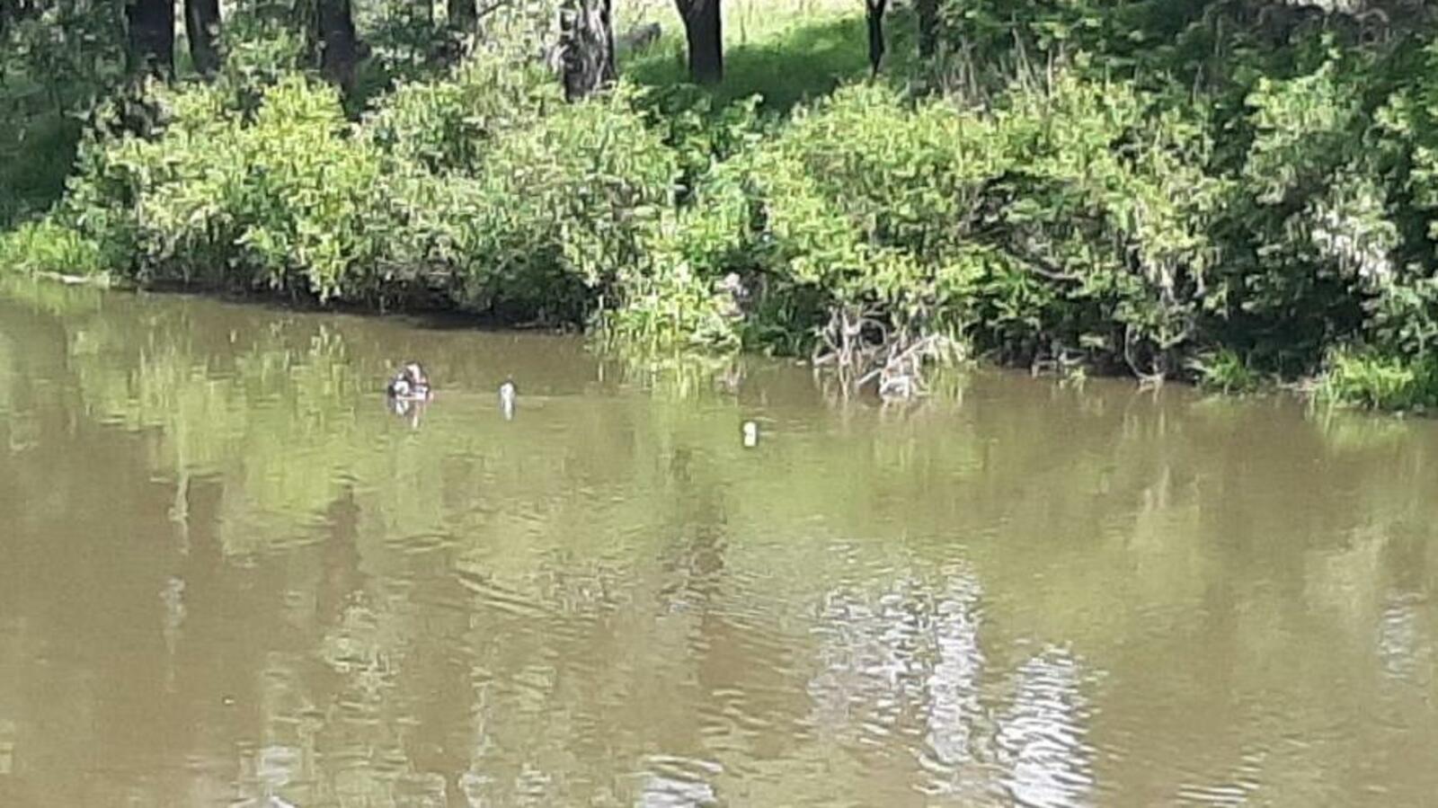 пресс-служба МЧС по РБ