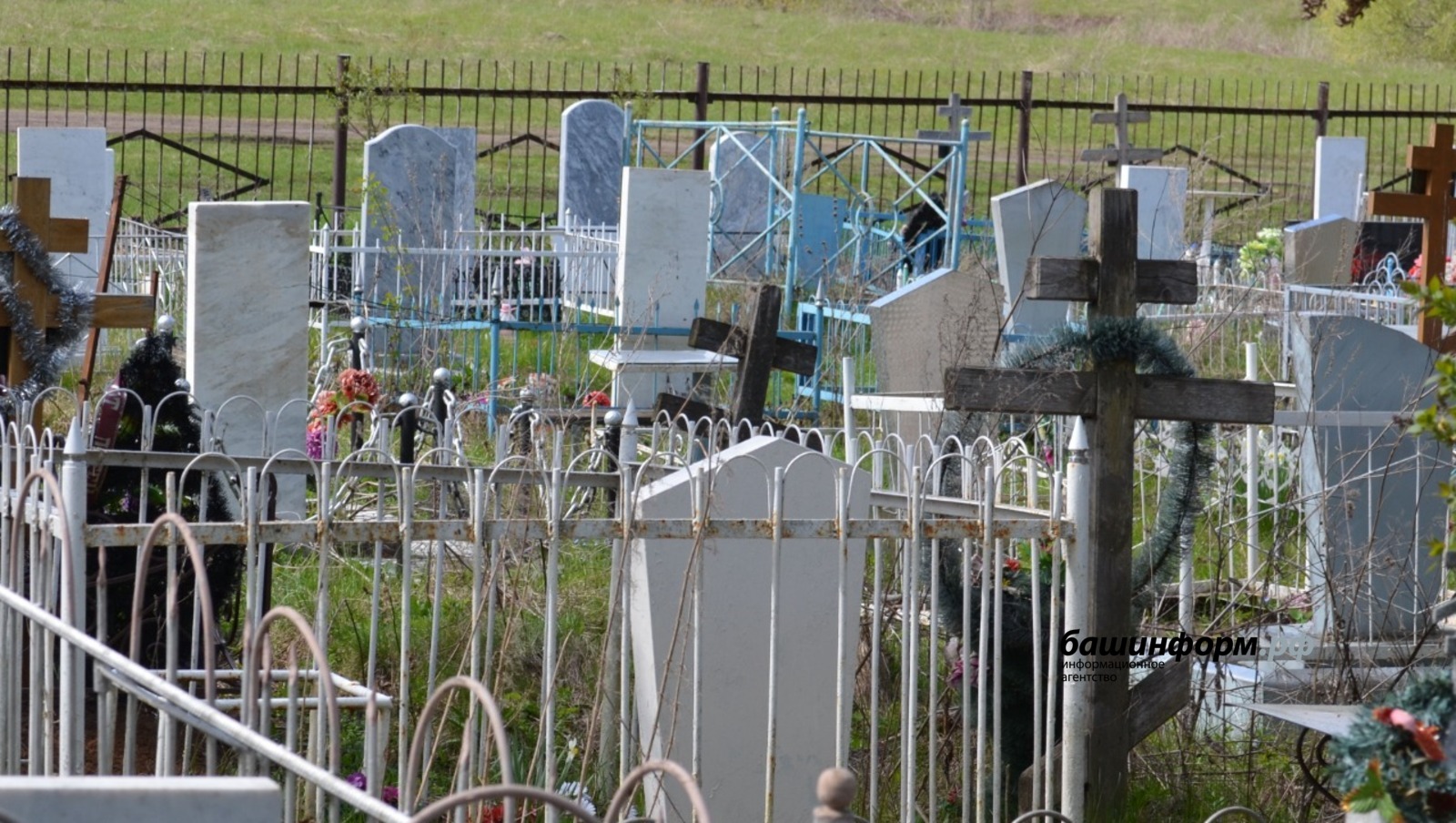 Ксения Калинина, архив