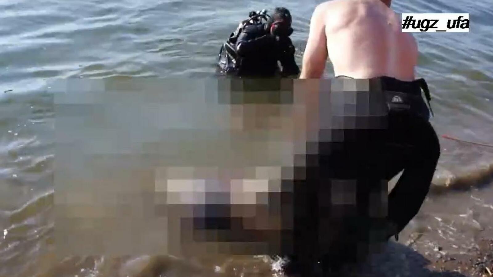 скрин видео