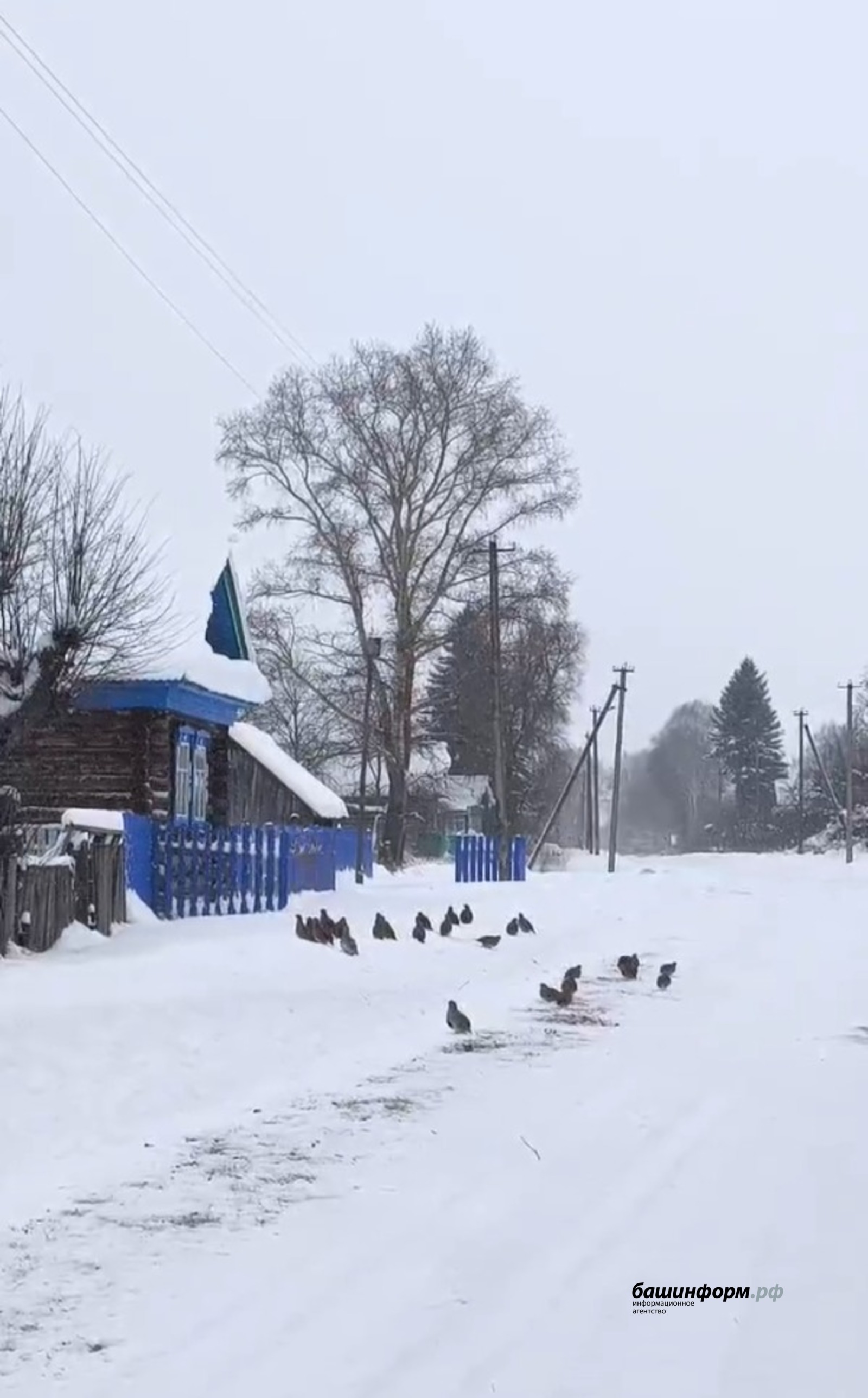 Скриншот Видео Альберта Шарипова