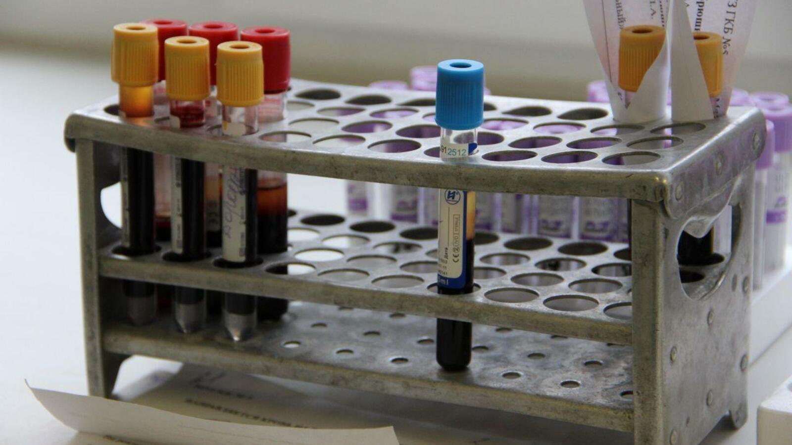 Ксения Калинина