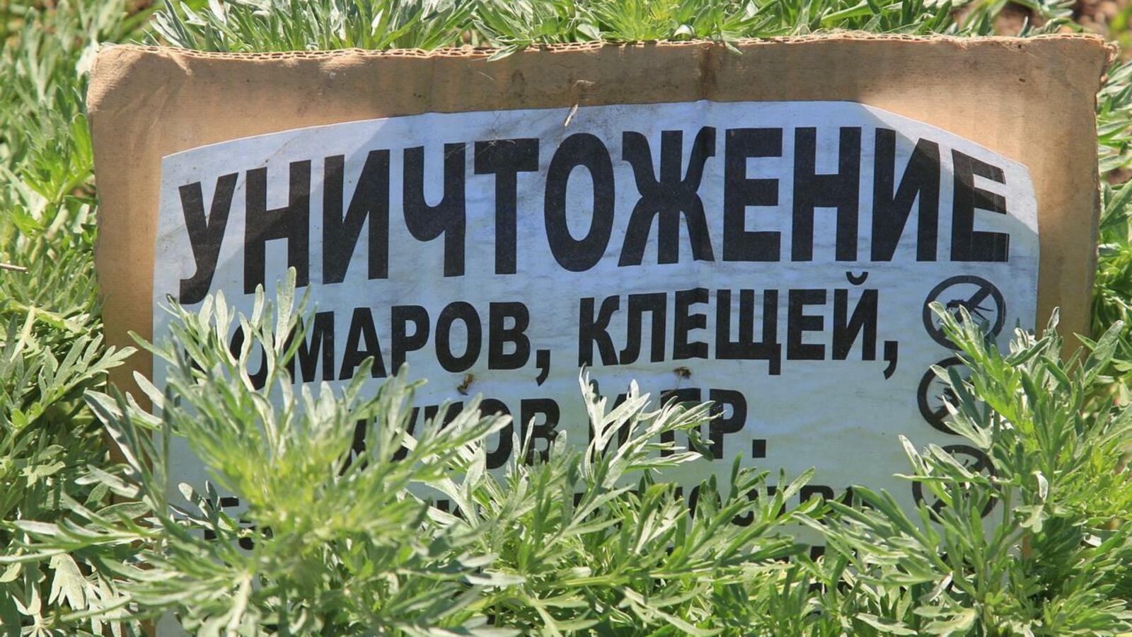 ИА «Башинформ»