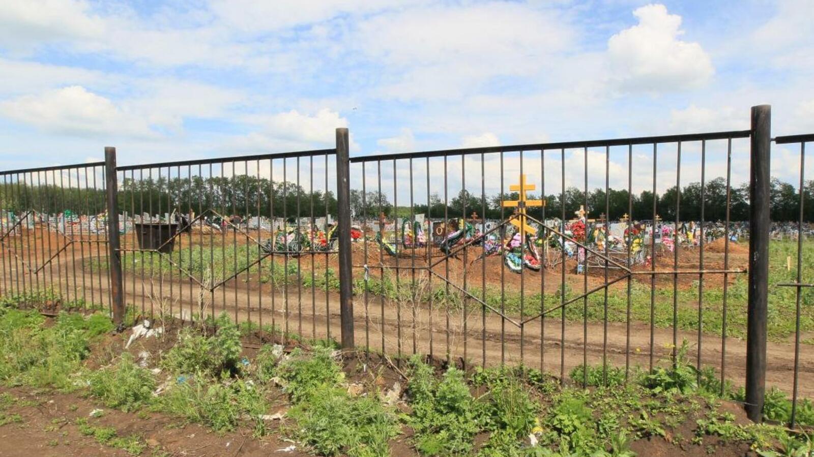 Андрей Старостин