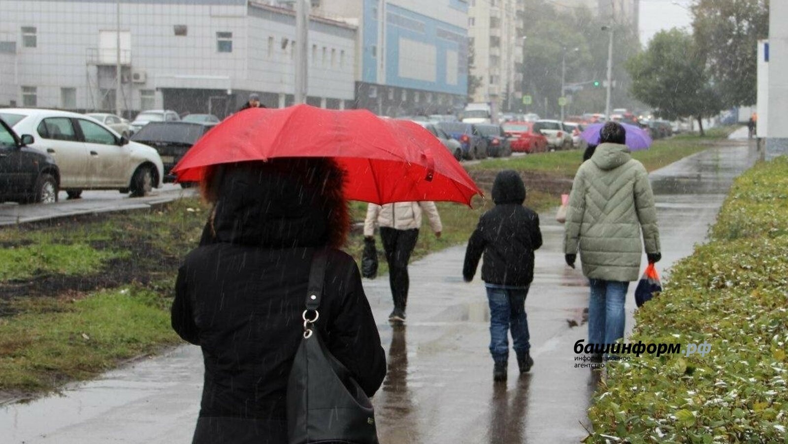 Ксения Калинина